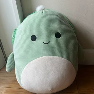 Turtle Squishmallow (8”) brand new